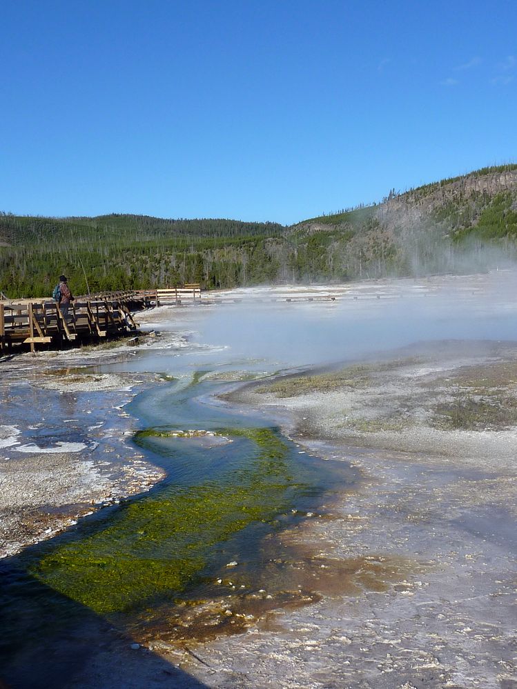 Yellowstone Biscuit basin (9).JPG